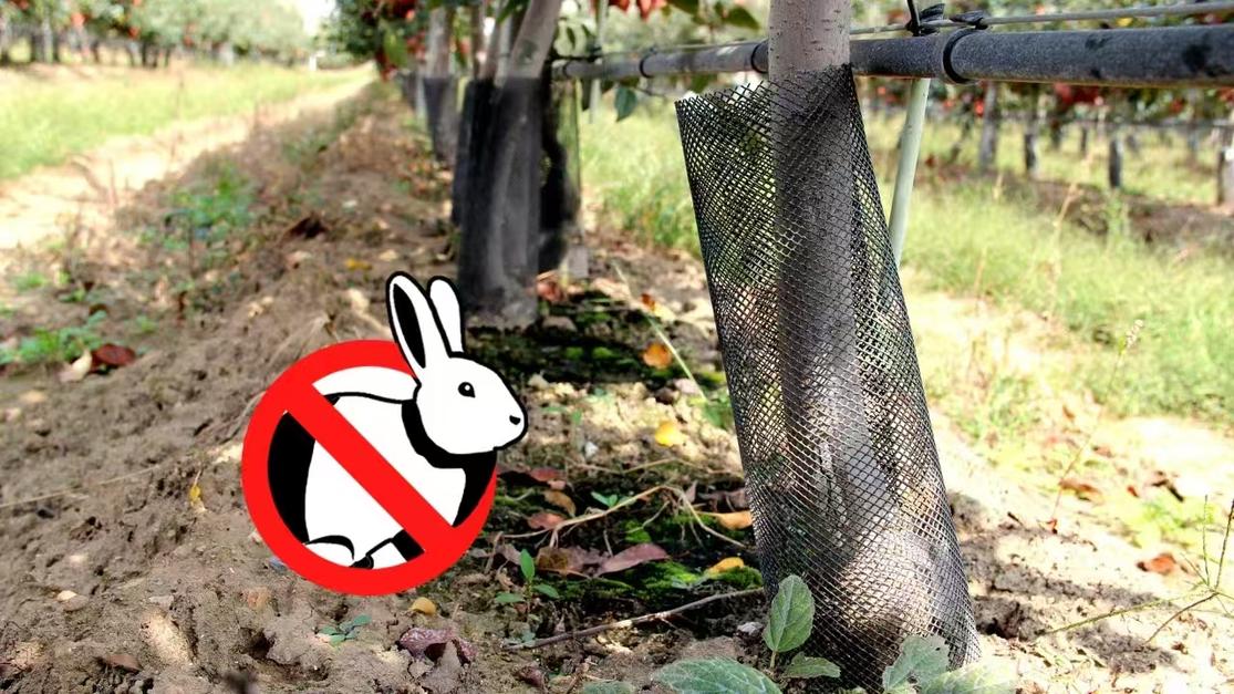 Tree-Protection  Net