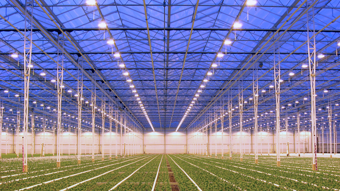 Twinlight Column®