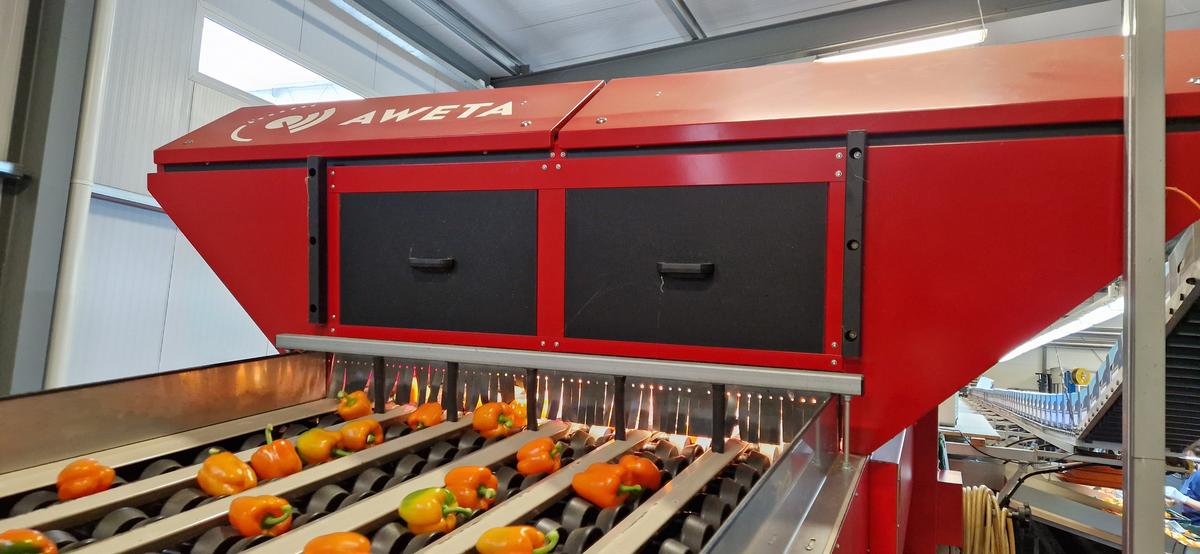 Aweta Cupsizer for Peppers