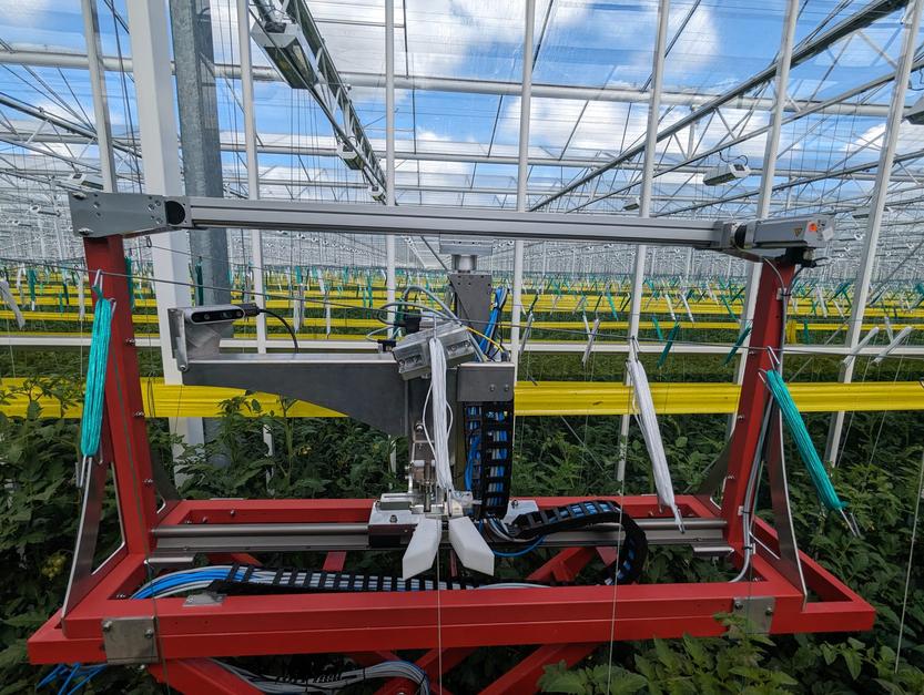 Plant Lowering Robot (PLR)