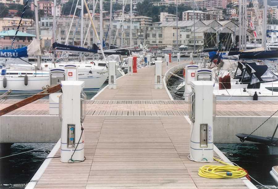 Domyna