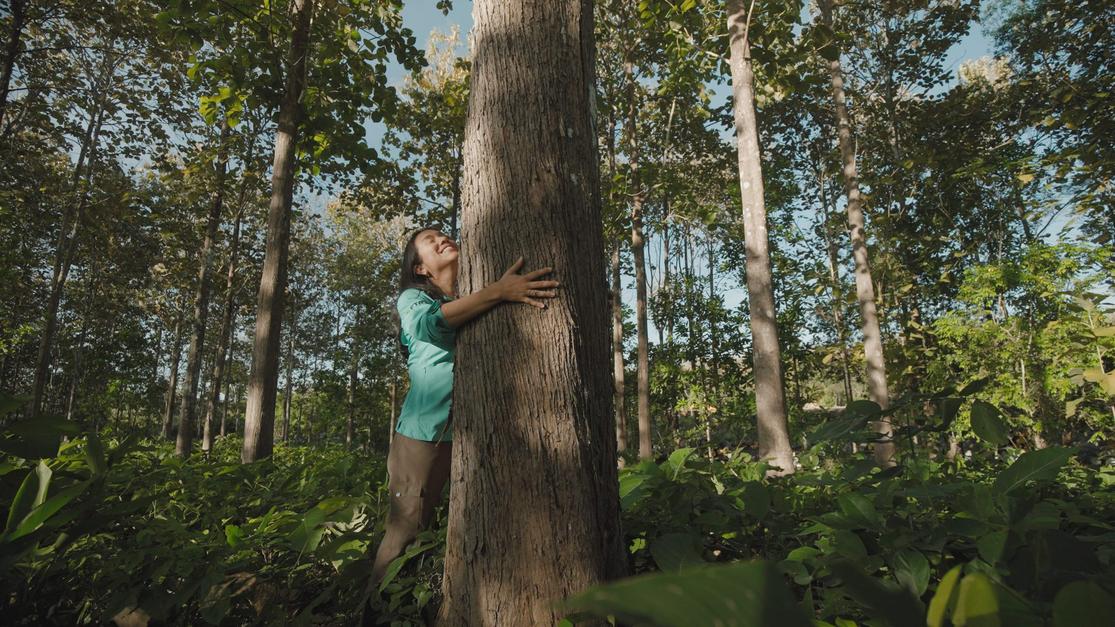 FSC certified (FSC-C180161) sawn teak in standard dimetions.