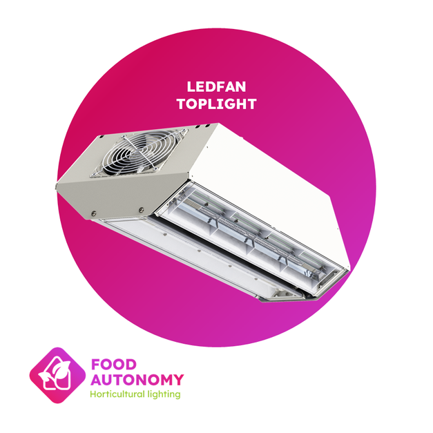 LEDFan Greenhouse Toplight