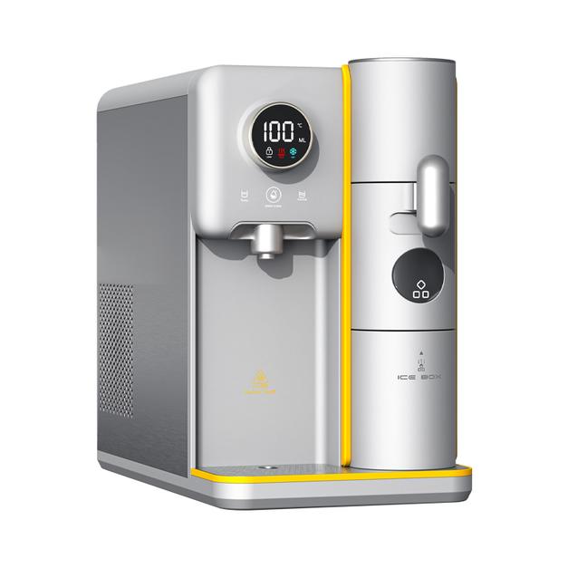 Countertop instant hot water dispenser and ice maker
