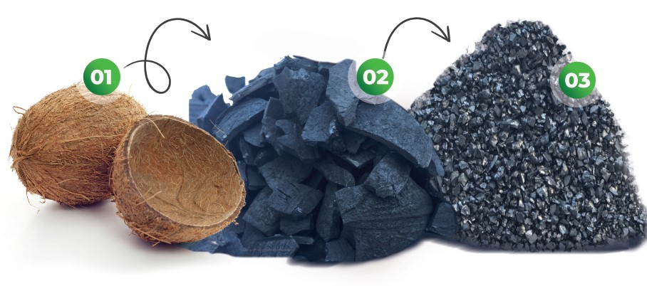 COCONUT SHELL BASED STEAM ACTIVATED CARBON