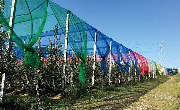 Multi-function protection net