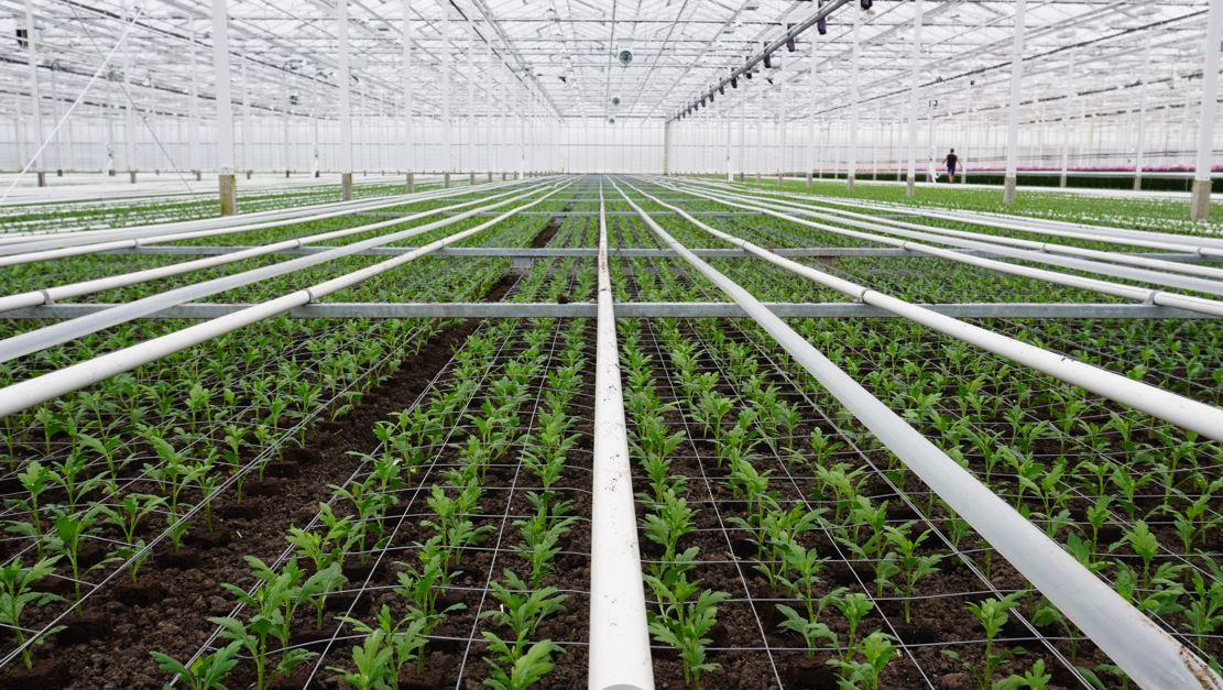 Installation of floor heating