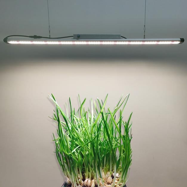 LED BAR GROW LIGHT
