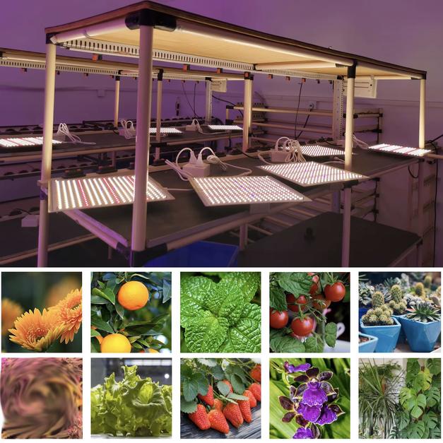 LED Quantun Board Grow Light