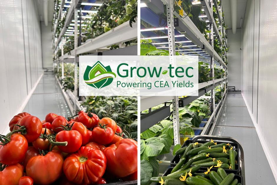 Indoor Vertical Farming for Fruiting vegetables