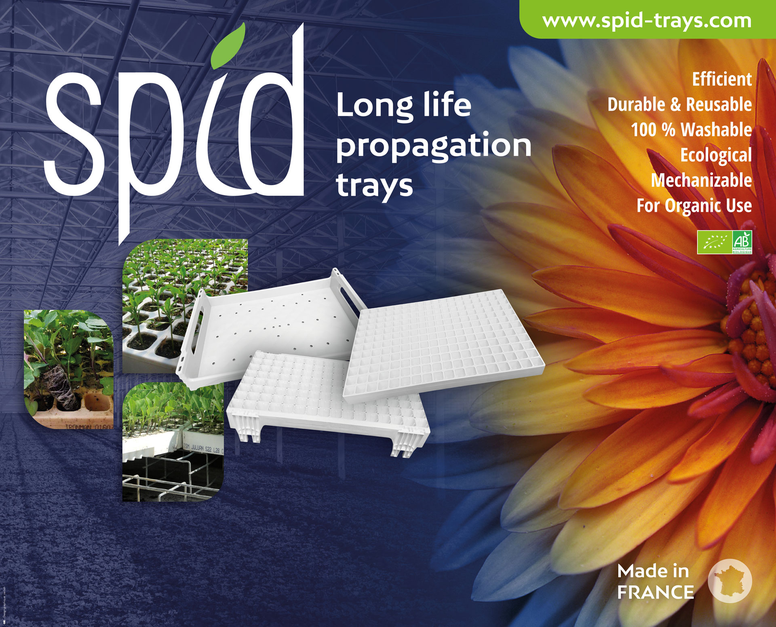 HARD PLASTIC SEEDLING TRAYS