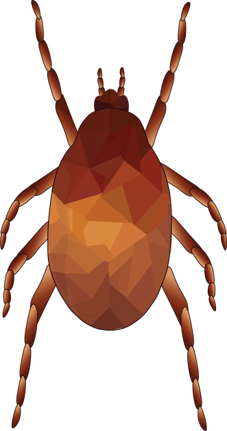 Hypoaspis miles