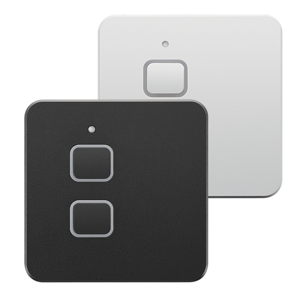 Light switches with programmable dimmers