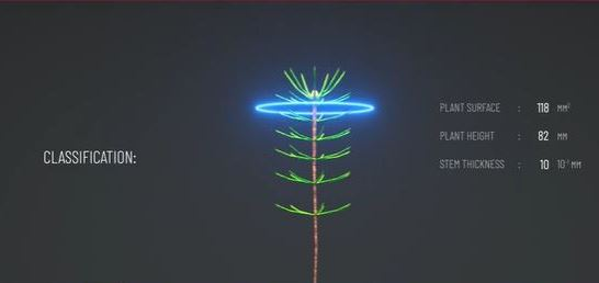 Solutions for trees