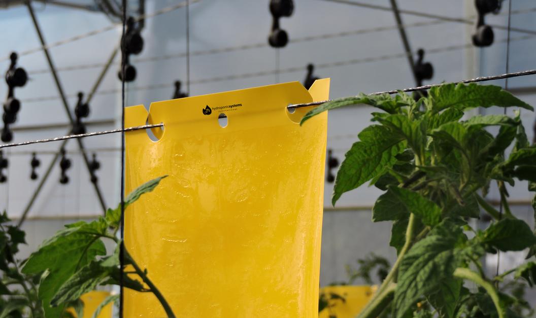 Pest Control Double-Hook Traps