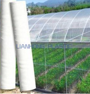 Anti Insect Net