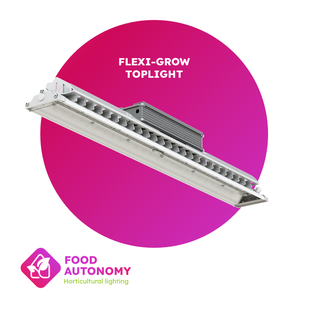 Flexi-Grow Mini Greenhouse Toplight
