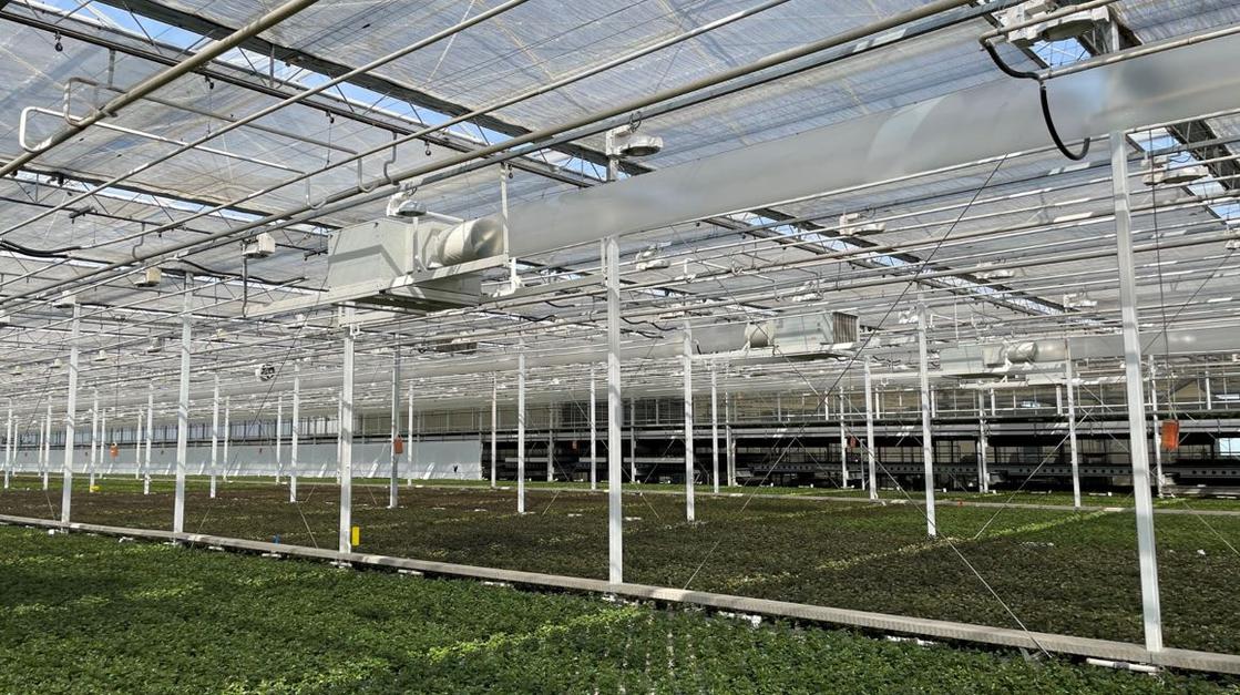 Active dehumidification