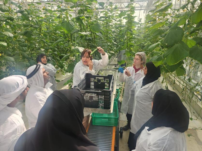 Businessplan for investors in (greenhouse) projects