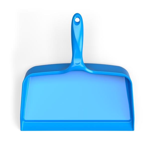 Ergonomic Dustpan