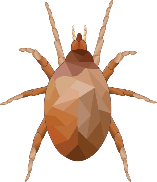 Amblyseius andersoni