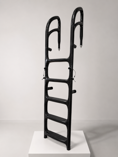 FlyUp modular carbon fibre boarding ladde