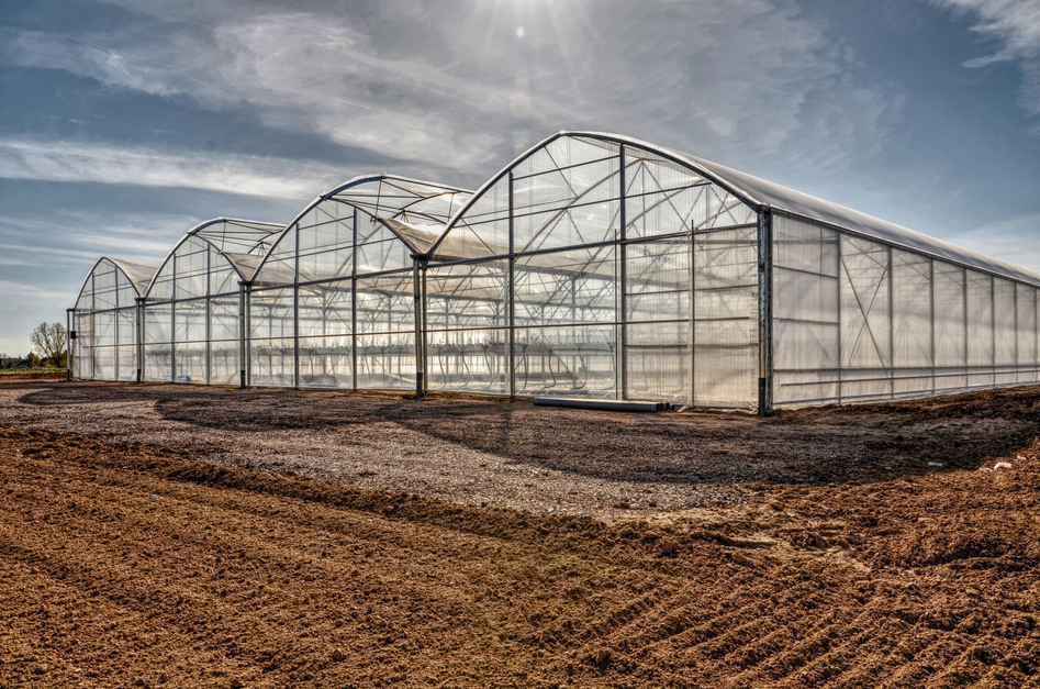 GREENHOUSE - MULTI SPANS