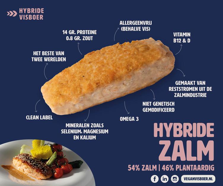 Hybride Zalm Filet