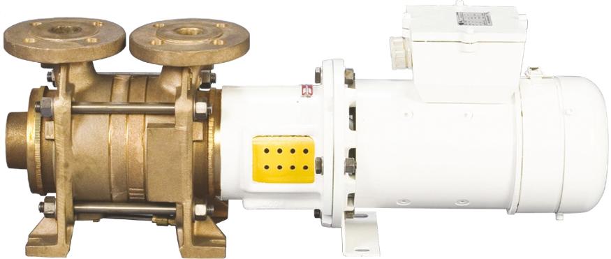 MULTISTAGE HIGH PRESSURE SELFPRIMING ELECTRIC PUMPS
