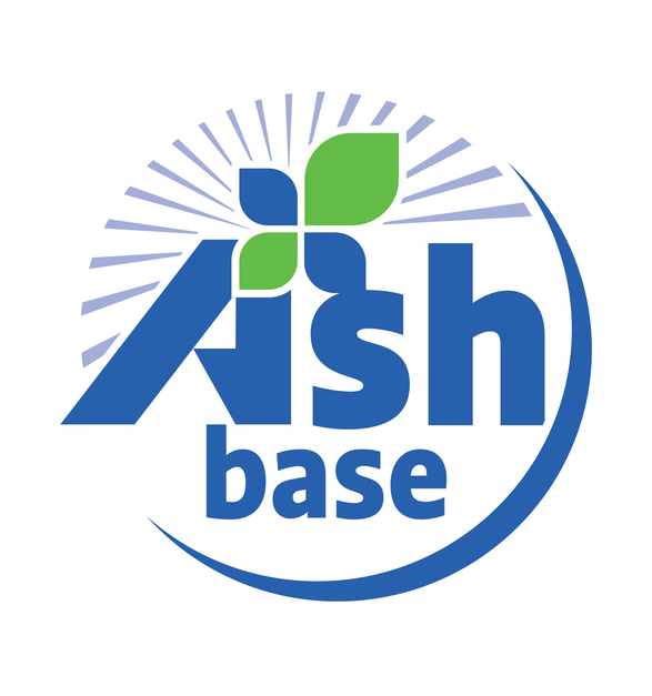 Ash Base