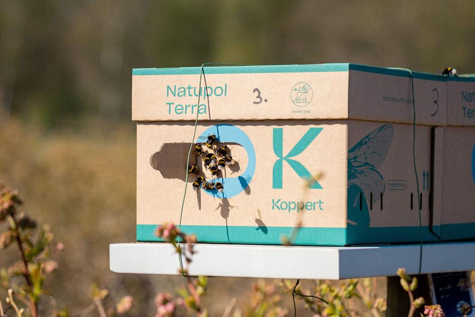 Natupol Terra