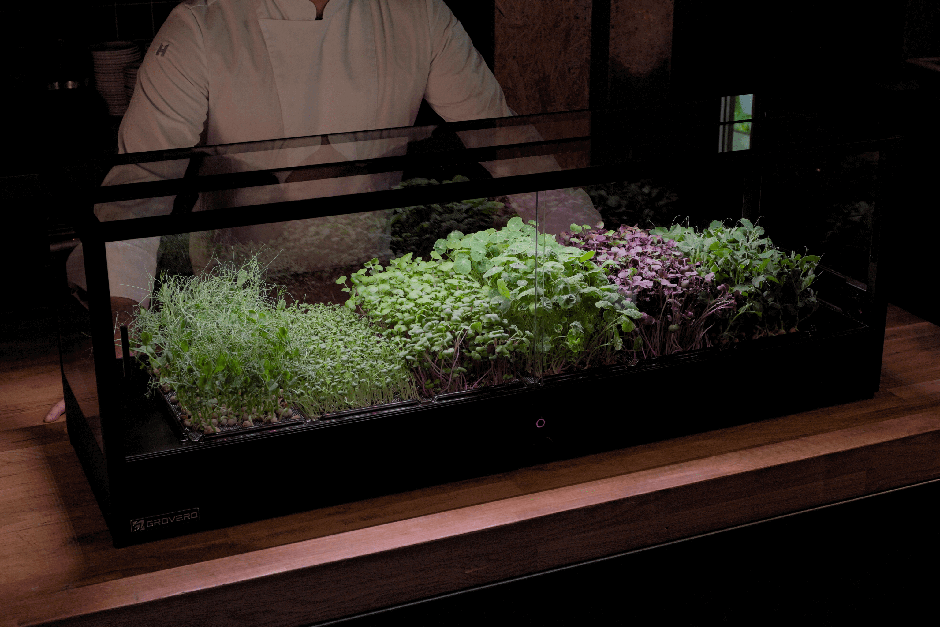 MiniGro Microfarm