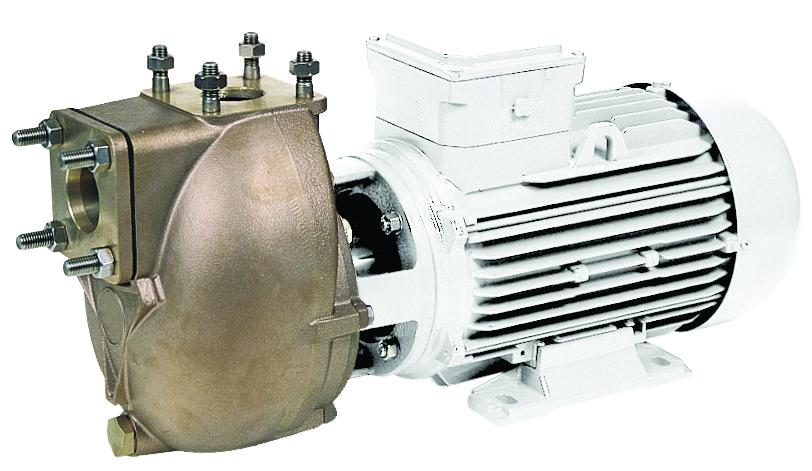 CENTRIFUGAL SELFPRIMING ELECTRIC PUMPS
