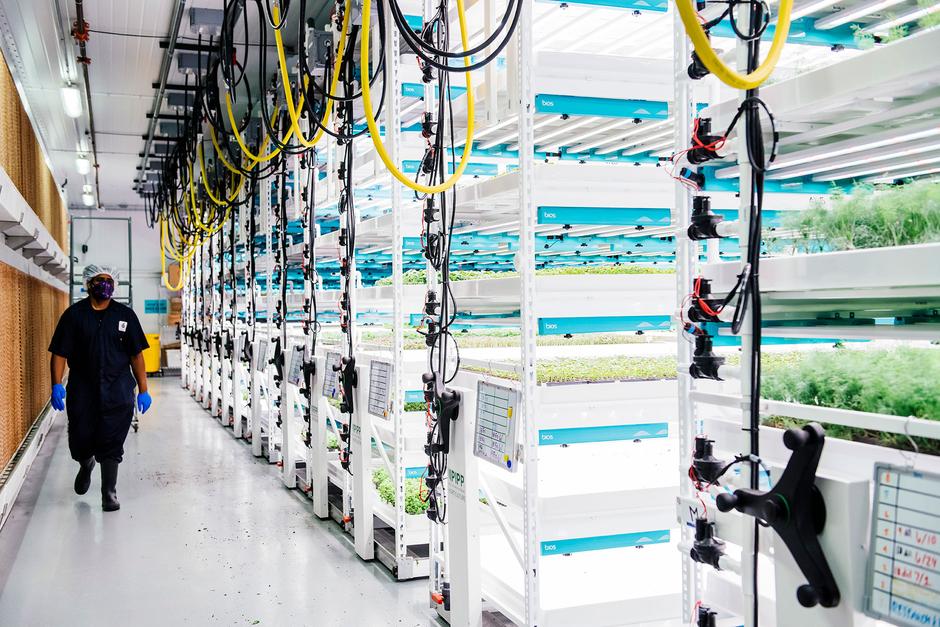 Vertical Grow Racks