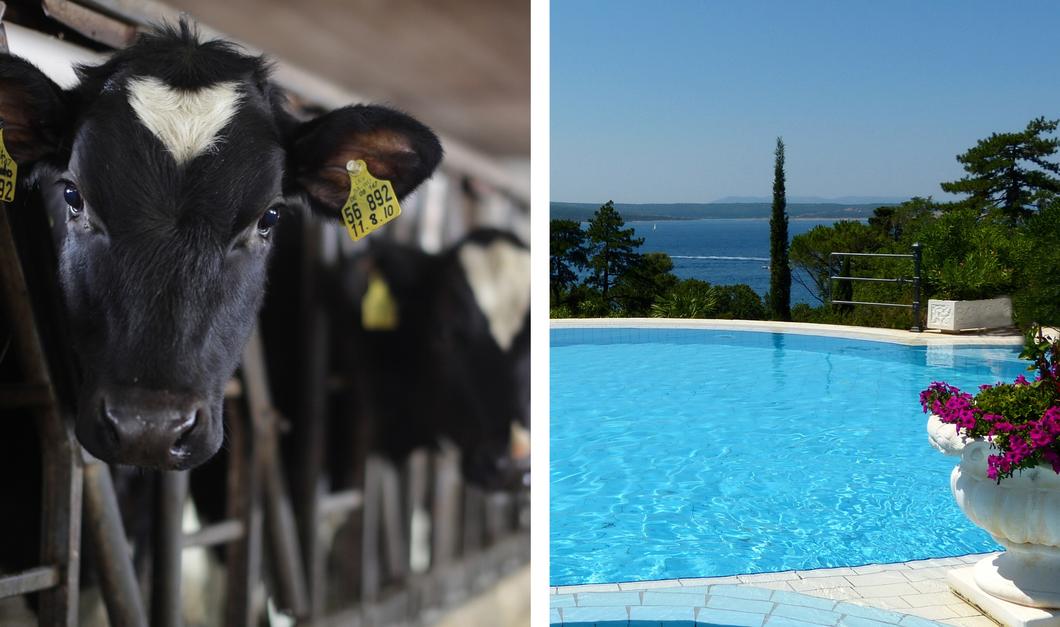 Drinking water separation stations CAT 5 EN 1717