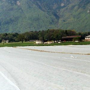 Cropcover