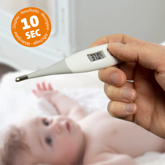 Alecto BC-19GS - Digitale thermometer - grijs