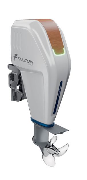 Electric Outboard Motor