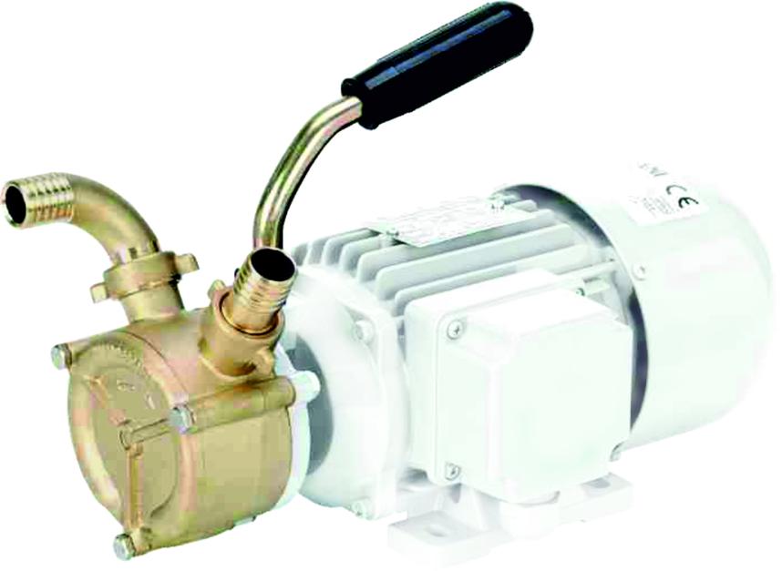 SELFPRIMING AND REVERSIBLE ELECTRIC PUMPS