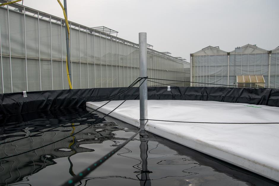 Insulated water silo with GenaDome