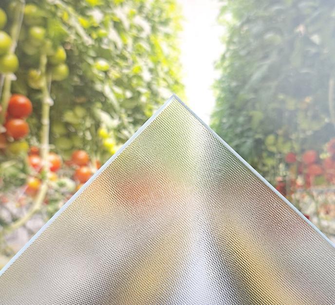 50 Middle Haze Prismatic Diffused Horticultural Glass