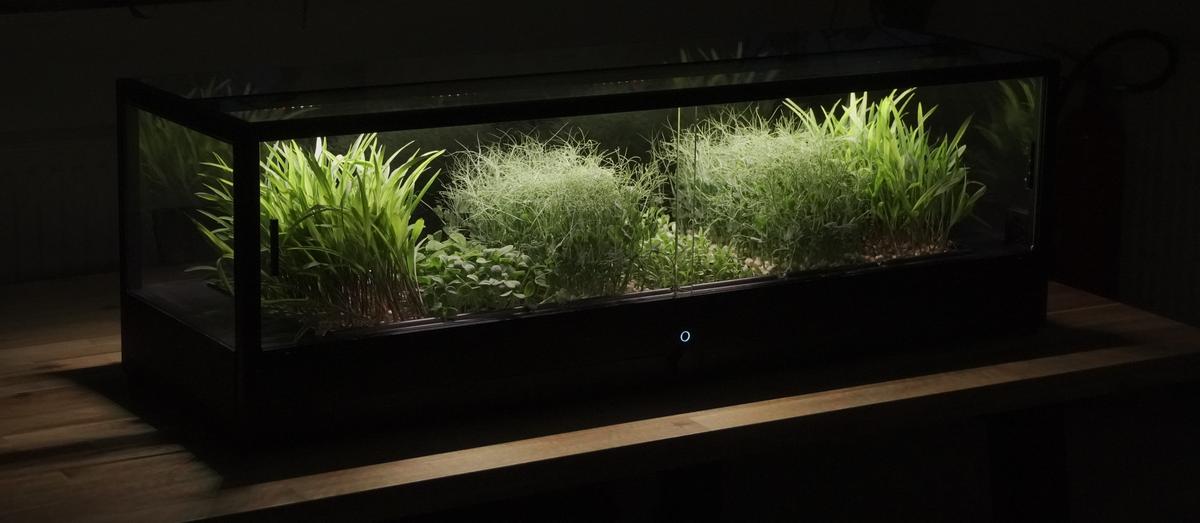 MiniGro microfarm