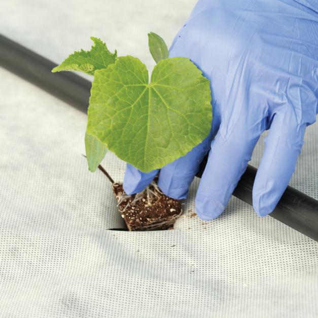Mulching Fabric