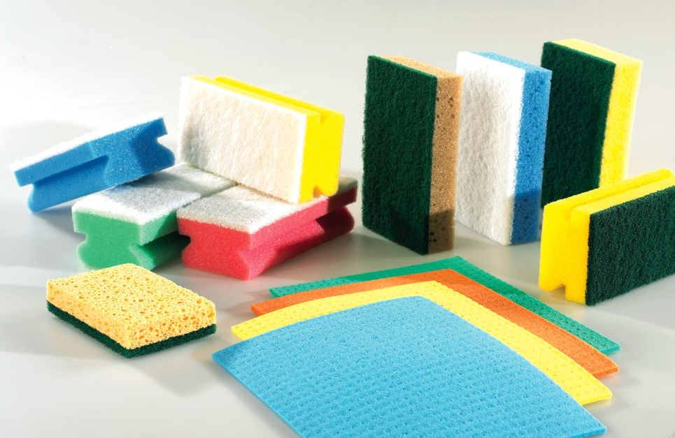 Sponges