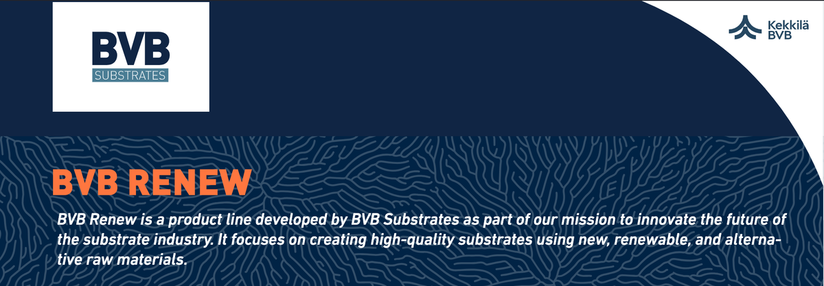 BVB Renew