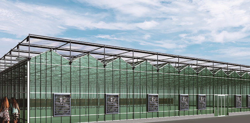 Multi-Span Intelligent Greenhouse
