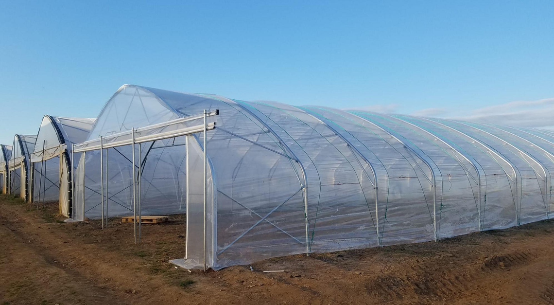 GREENHOUSE - TUNNEL