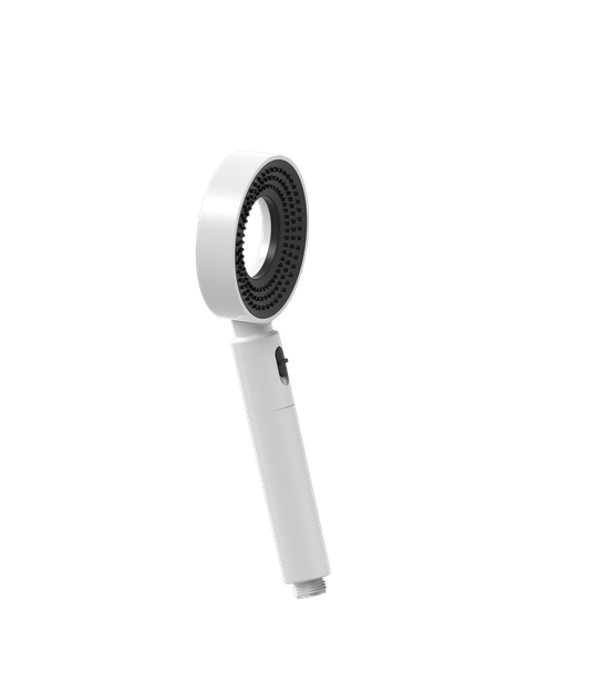 Bath Shower (BSK-T5-HS-01)