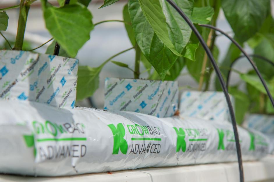 Growbag ADVANCED: Modern, sustainable, for high yields