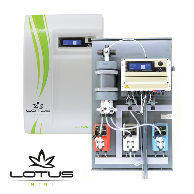 LOTUS